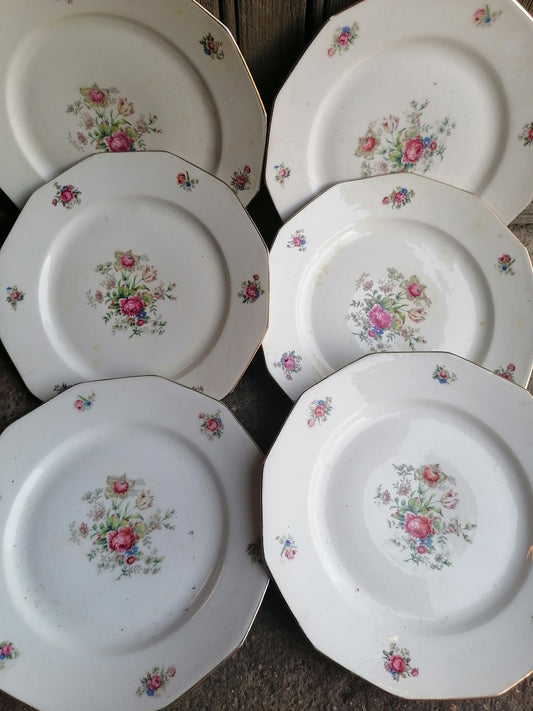 Limoges Porcelain Plates (6) 23cmsLimoges Porcelain Plates (6) 23cms