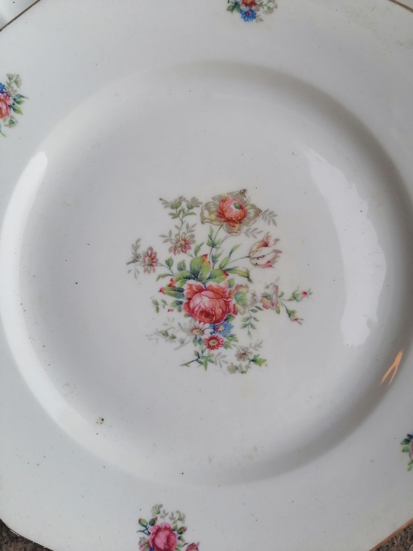 Limoges Porcelain Plates (6) 23cmsLimoges Porcelain Plates (6) 23cms