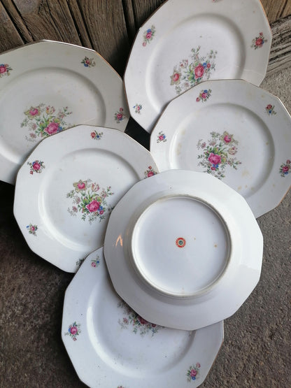 Limoges Porcelain Plates (6) 23cmsLimoges Porcelain Plates (6) 23cms